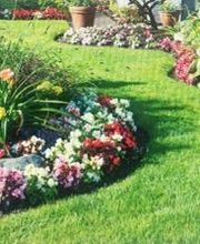 Agence Yellow image 8