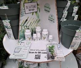 Intratuin Numansdorp afbeelding 10