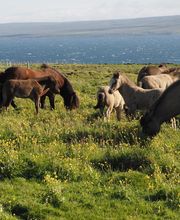 LA ROUTE DES VOYAGES ANNECY image 17