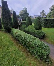 Solutions Vertes image 1