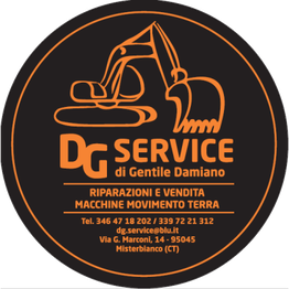 Dg Service logo