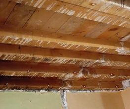 Protection Termite image 9