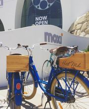 MOXI, The Wolf Museum of Exploration + Innovation image 10