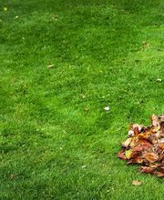 Raiffeisenbaumarkt24 Bild 1