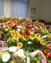 Blumen Lessle Bild 5