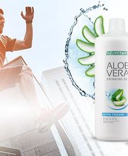 Knochen, Gelenke & Muskeln