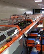 Calibrex SARL image 1