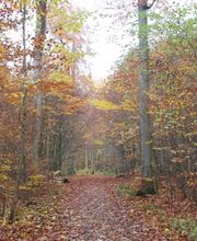 FriedWald Wolfenbüttel Bild 1
