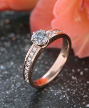 Niederer Pierre-James Bild 5