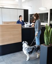 Kleintierpraxis Seegarten AG Bild 6