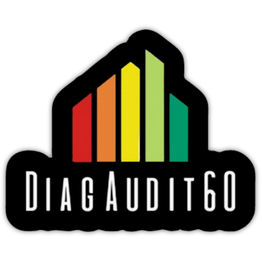 Diag Audit 60