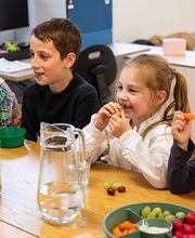 Humankind - BSO Wereldwijs afbeelding 5