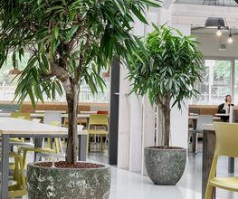 Plantyworks GmbH Bild 5