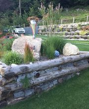 Pasinelli cura alberi Sagl Bild 10