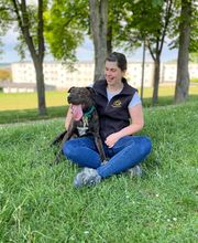Dog & Picture image 10