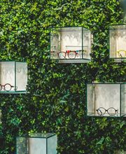 Optique Saint Pierre SAS image 10