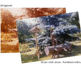Foto Merkel Bild 18