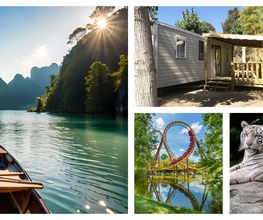 TLC Vacances image 4