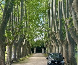 Provence by Flore image 6