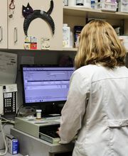 AniMed Animal Hospital image 17