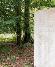 FriedWald Gronenburg Bild 7