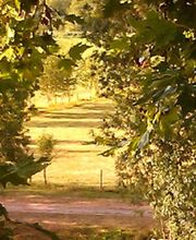 Isabelle Le Lay image 2