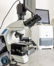 Tierarzt Vlotho, Tierarztpraxis am Roseneck Bild 9