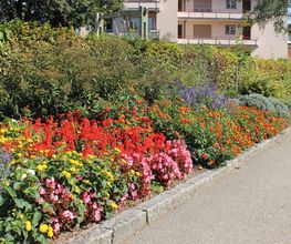 Käser Gartenbau AG Bild 9