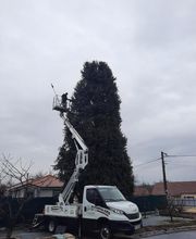 Lacroix David image 16