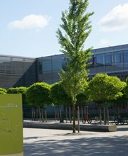 Sportschulzentrum Ostragehege in Dresden 1