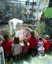 LA MAISON DES ABEILLES image 5