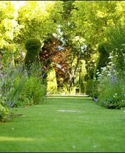 Martin Marius Bild 4