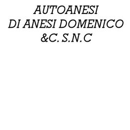 Autoanesi logo