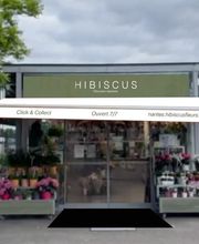 Hibiscus image 13