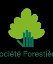 La Forestière - Agence Nord-Est image 1