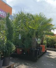 HORNBACH Ingolstadt Bild 11
