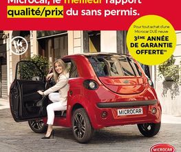 Voiture Sans Permis image 10