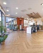 Opticien Tournefeuille - Optic 2000 - Vincent Auriol image 13