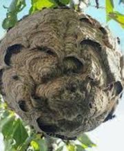 Cible En Vue image 5