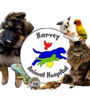 Harvey Animal Hospital image 7