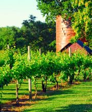 Pearmund Cellars image 7