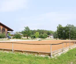 Wanderreitstation Gut Mischenried GmbH Bild 5