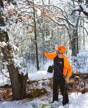 SavATree - Tree Service & Lawn Care image 7