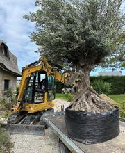 Jardin De La Côte image 14