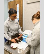 Oath Animal Hospital image 2