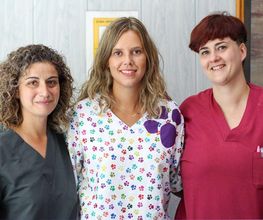 Veterinario Alcorcón imagen 19