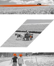 Rechts- und Steuerpraxis H. Zumstein AG Bild 10