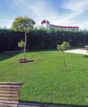 Jardinería FG imagen 17