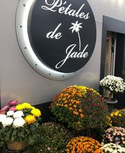 Pétales De Jade image 2