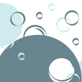 DL NETTOYAGE